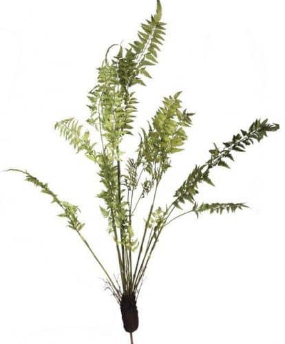 Купить Декор MHLiving Fern Plant 004071 по низкой цене