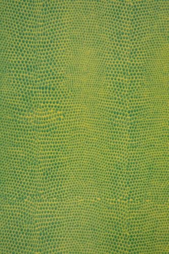 Купить Поднос MHLiving Snake big 006806 по низкой цене