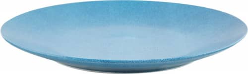 Купить Поднос MHLiving Planet blue big 007901 по низкой цене