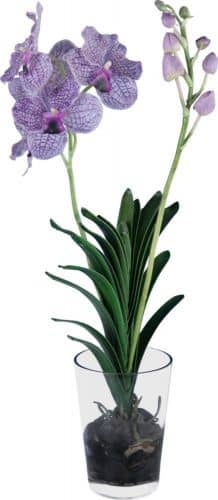 Купить Декор MHLiving Vanda Orchid 004891 по низкой цене