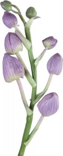 Купить Декор MHLiving Vanda Orchid 004891 по низкой цене