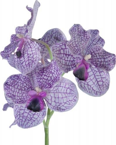 Купить Декор MHLiving Vanda Orchid 004891 по низкой цене