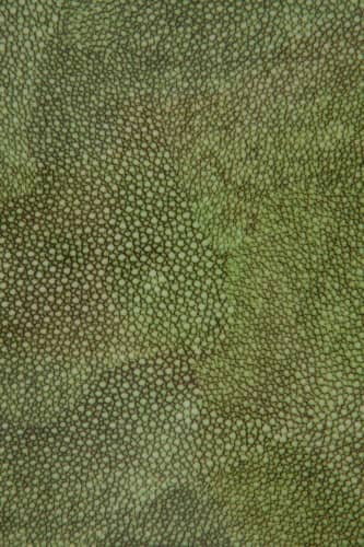 Купить Поднос MHLiving Anaconda green middle 006987 по низкой цене