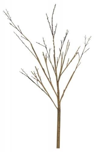 Купить Декор MHLiving Twig Stem 004064 по низкой цене