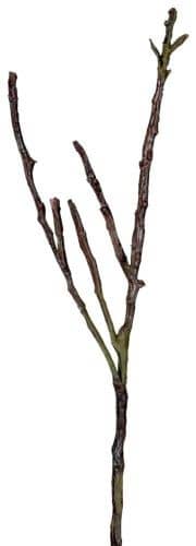 Купить Декор MHLiving Dry branches 004077 по низкой цене