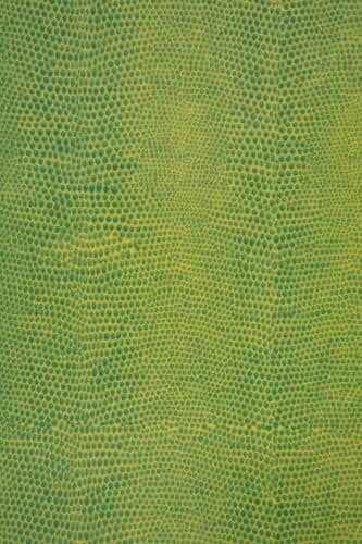 Купить Поднос MHLiving Snake small 006804 по низкой цене