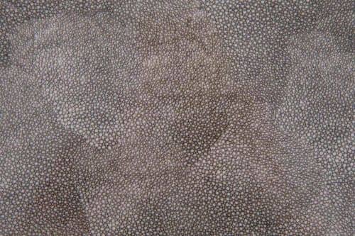 Купить Поднос MHLiving Anaconda tall small 006981 по низкой цене