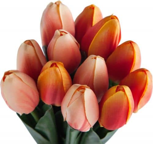 Купить Декор MHLiving Tulip Bundle 004066 по низкой цене