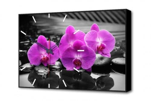 Купить Картина-часы TopLightPoster Цветы Орхидея TL-C5017 по низкой цене