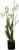 декор mhliving dancing ocidium 004906 Купить Декор MHLiving Dancing Ocidium 004906 по низкой цене