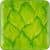 Купить Поднос MHLiving Leaf small 009602 по низкой цене