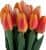 Купить Декор MHLiving Tulip Bundle 004066 по низкой цене
