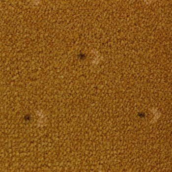 Ковровые дорожки как дополнение интерьера.