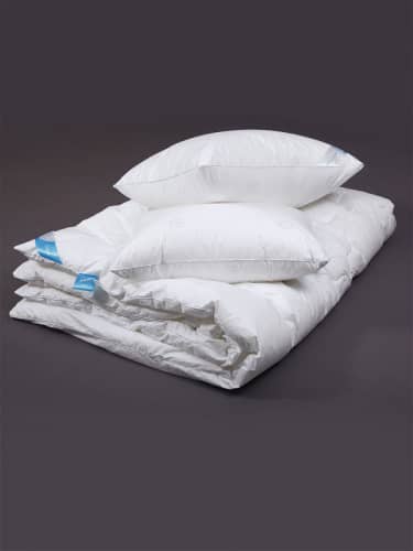 Купить Одеяло Goldtex Hometextile Лебяжий пух 2 сп. , коллекция Swan Down по низкой цене