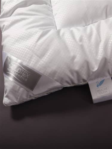 Купить Одеяло Goldtex Hometextile Лебяжий пух 2 сп., коллекция DELICATE TOUCH по низкой цене