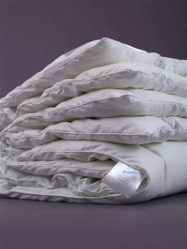 Купить Одеяло Goldtex Hometextile Лебяжий пух 1,5 сп., коллекция DELICATE TOUCH по низкой цене