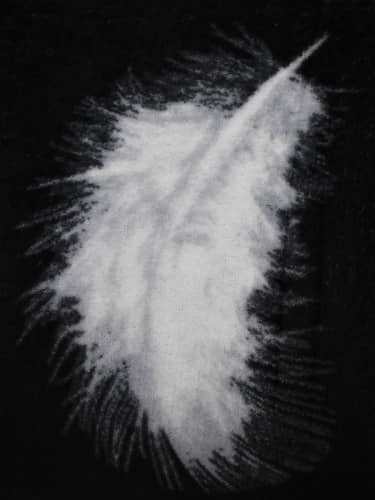 Купить Плед Arkady велсофт Восхищение 145x205 по низкой цене