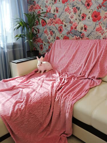 Купить Плед TexRepublic Absolute Lux Косичка Фланель 150х200 см по низкой цене