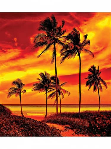 Купить Покрывало Ambesonne Пламенный пляж , Евро 220x235 см по низкой цене