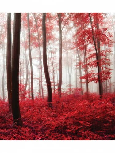 Купить Покрывало Ambesonne Кровавый лес , Евро 220x235 см по низкой цене