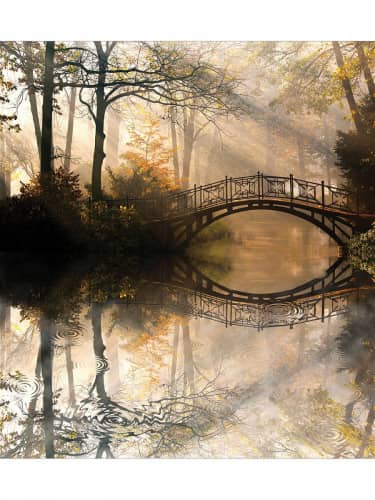 Купить Покрывало Ambesonne Заколдованный мост , Евро 220x235 см по низкой цене