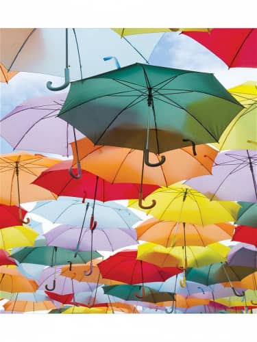 Купить Покрывало Ambesonne Зонтиковая погода , Евро 220x235 см по низкой цене