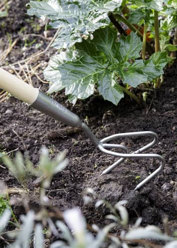 Купить Культиватор трехзубцовый на длинной ручке Burgon & Ball по низкой цене