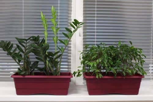 Купить Ящик ГарденПласт №1 балконный для цветов 6 л по низкой цене