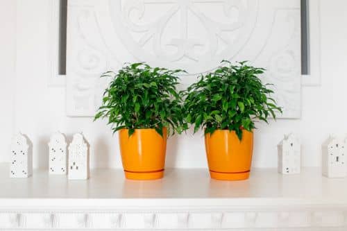 Купить Горшок ГарденПласт Фрезия 2 цветочный 3 л по низкой цене