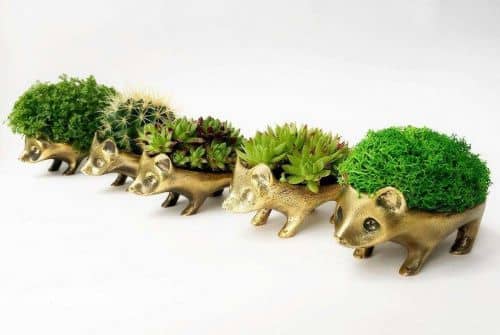 Купить Горшок BOXSAND Ежик по низкой цене