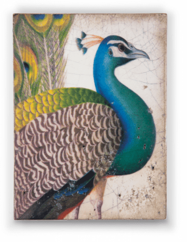 Купить Панно Sid Dickens Fabled Bird Т 287 дизайнерское, 15х20х3 см по низкой цене