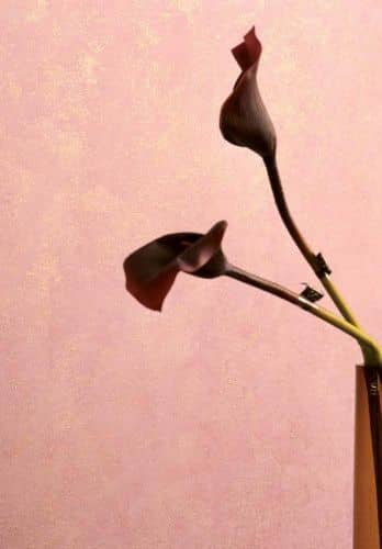 Купить Краска Spiver Decora декоративная по низкой цене