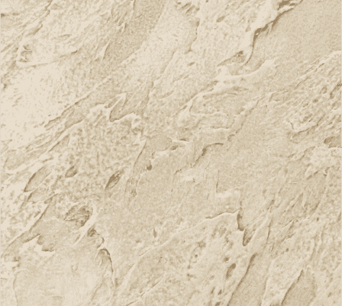 Купить Штукатурка Dessa Decor Стоун декоративная фактурная для коридора 15 кг по низкой цене