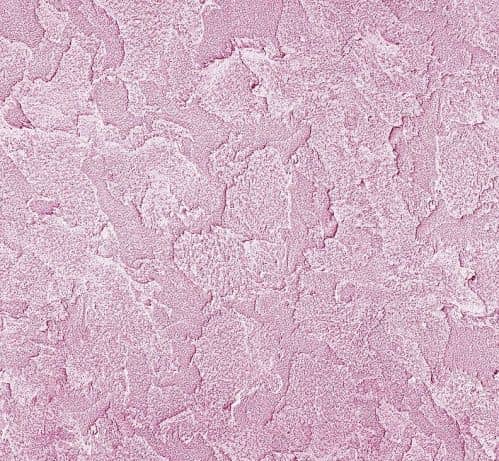 Купить Покрытие Vincent Decor Decorum Rustique Ницца декоративное по низкой цене