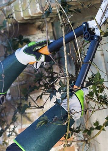 Купить Перчатки для колючих кустарников и роз Buisson Blackfox по низкой цене