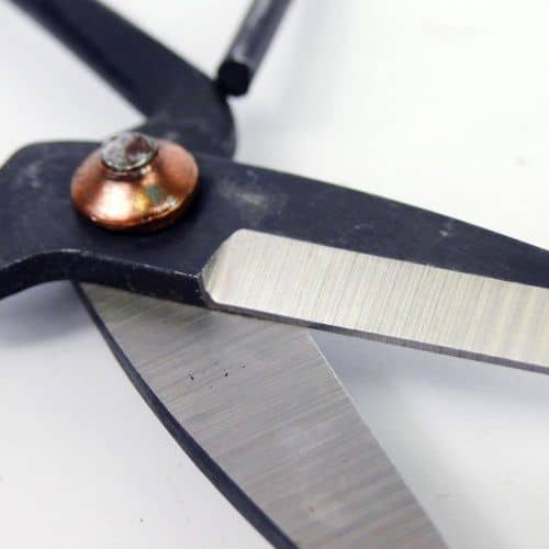 Купить Ножницы Luxury Plants черные для листьев бонсай по низкой цене