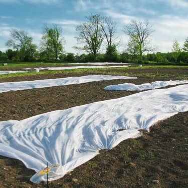 Купить Агропленка Агротекс 30 UV белая 1,6х200 м по низкой цене