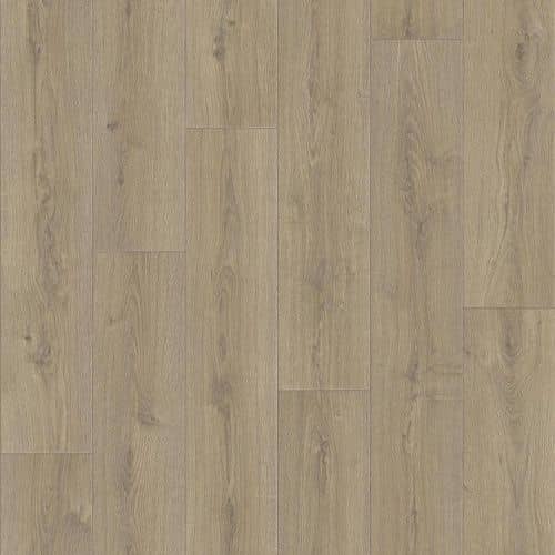 Купить Линолеум Tarkett Praktika Bruno 1 бытовой 4х30 м по низкой цене