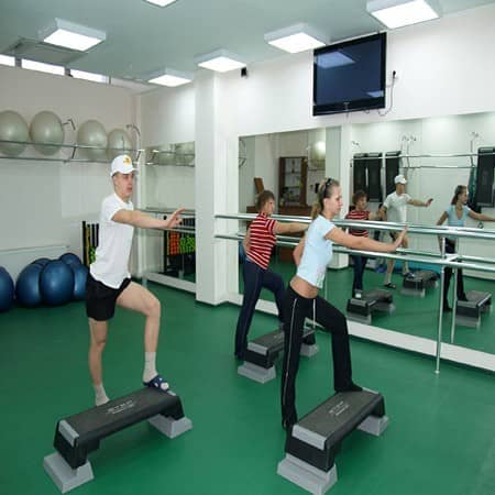 Купить Линолеум Grabo Graboflex Gymfit 50 4000-675 спортивный 2x20 м по низкой цене