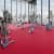 Купить Линолеум Tarkett Omnisports Speed Red спортивный 2x20,5 м по низкой цене