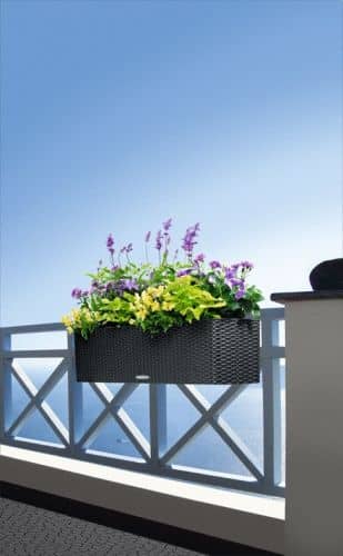 Купить Кашпо Lechuza Balconera Cottage 80 см по низкой цене