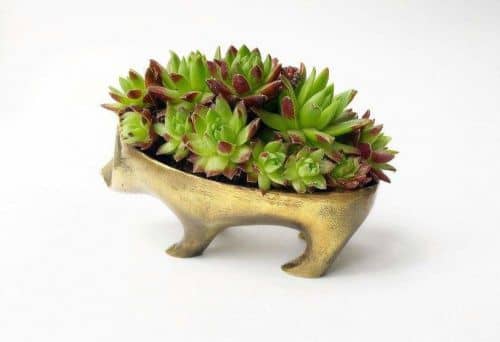 Купить Горшок BOXSAND Ежик по низкой цене