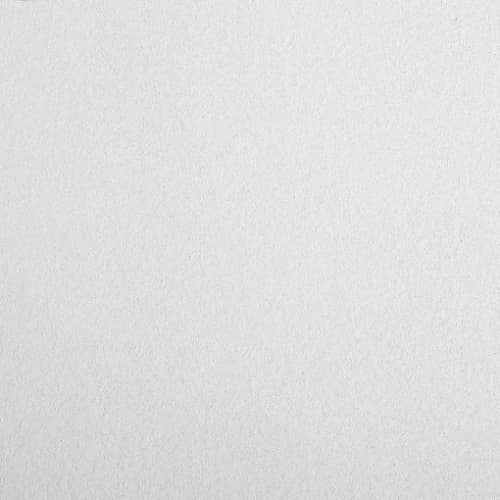 Купить Плита Armstrong Bioguard Plain Tegular потолочная 600х600х15 мм по низкой цене