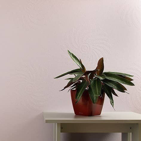 Купить Стеклообои Wellton Decor WD790 Хризантема по низкой цене