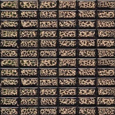 Купить Мозаика Gaudi Brick-5(4) керамическая по низкой цене