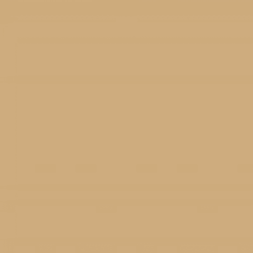 Купить Шпатлевка VGT акриловая по дереву Экстра Бук 1 кг по низкой цене