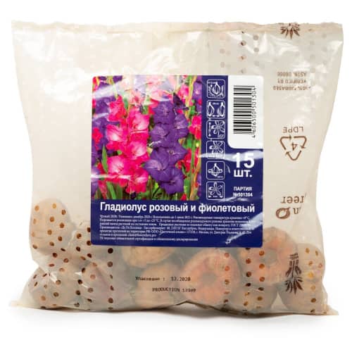 Купить Гладиолус розовый и фиолетовый 10/12, 15 по низкой цене