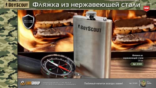 Купить Фляжка Boyscout 61443 250 мл по низкой цене