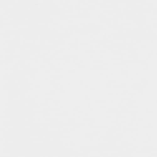 Купить Рулонная штора Fakro ARS белая 001 на крючках 114х140 см по низкой цене