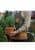 Купить Фартук садовый для инструментов Gardentools Esschert Design по низкой цене